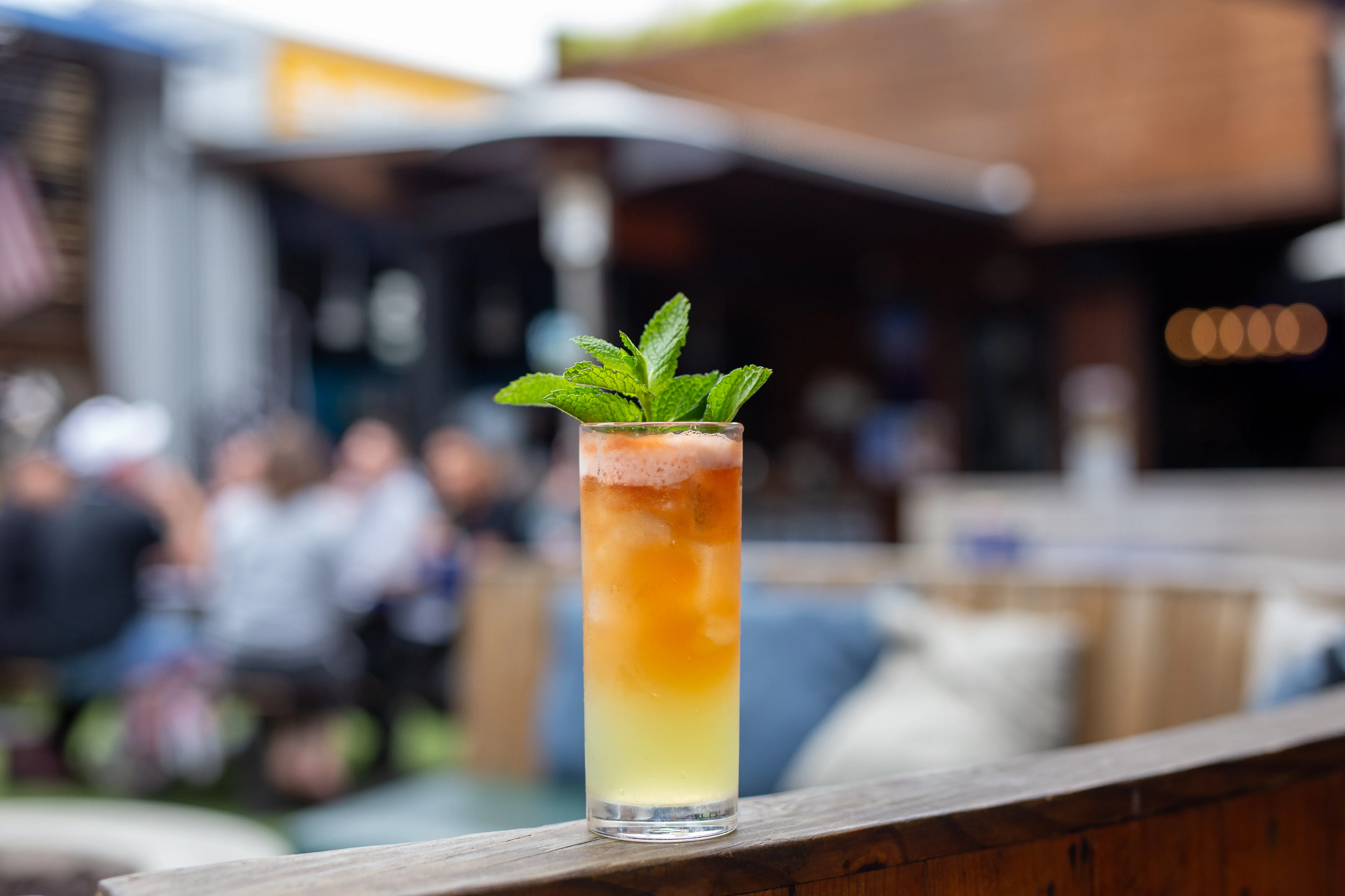 Gun Powder & Lead cocktail with fresh mint at Park 101 Carlsbad