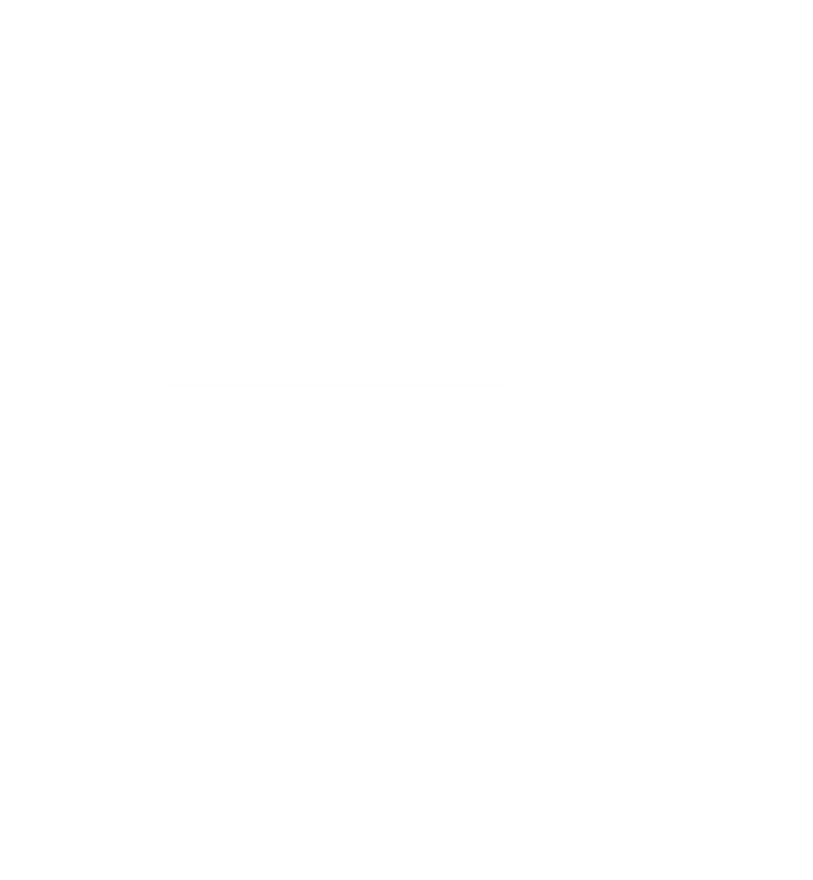 Park 101